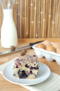 BlueberryBuckle1