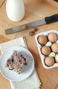 BlueberryBuckle3