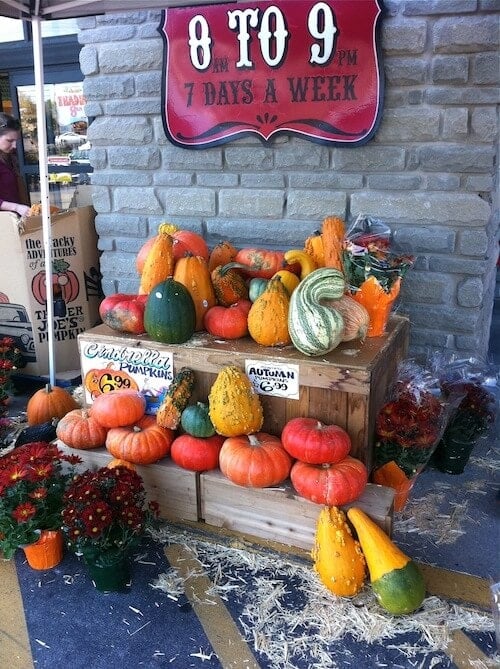 squashes1
