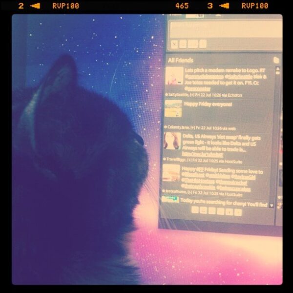 Bobbi reading tweets on twitter
