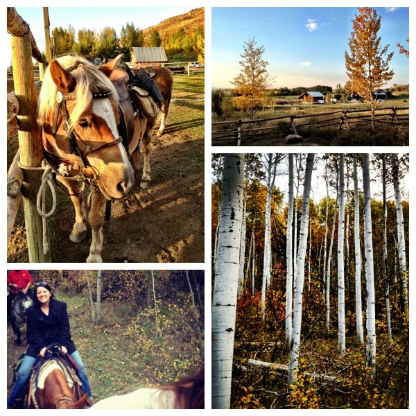Idaho Potato Harvest 2012