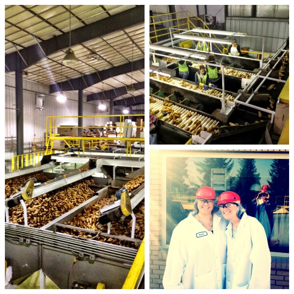 Idaho Potato Harvest 2012