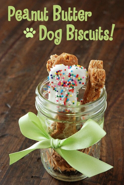 DIY Peanut Butter Dog Biscuits from www.thenovicechefblog.com