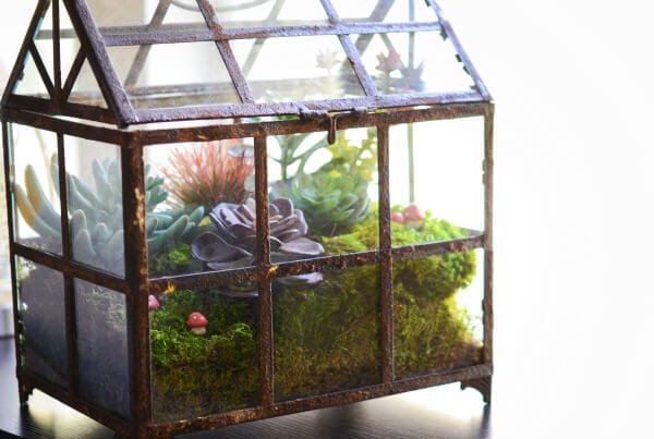 DIY Terrarium from www.thenovicechefblog.com
