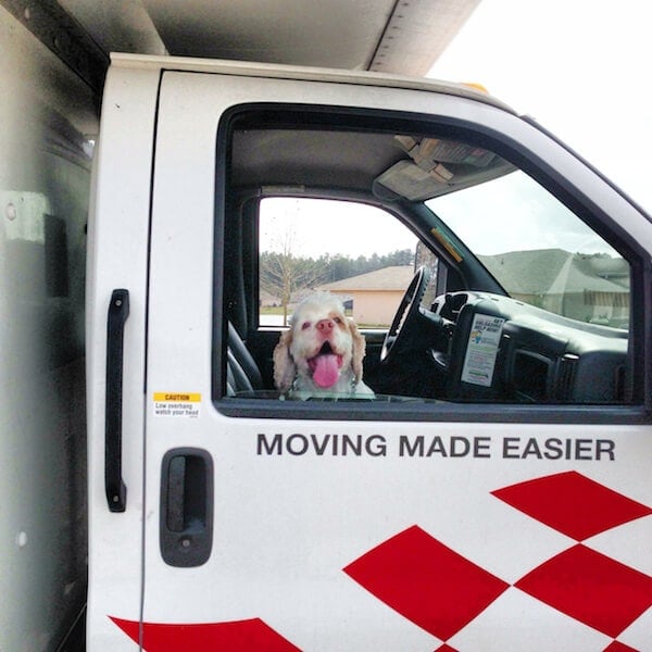 moving - brody